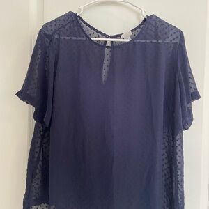 Elegant Navy Blue Sheer Women's Top